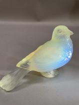 A FRENCH CESARI OPALESCENT GLASS CAR MASCOT, moulded mark to underside of the wing, 9cm high by 12.