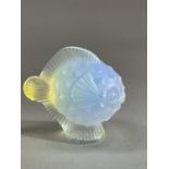 A LALIQUE OPALESCENT GLASS PUFFA FISH, signed to underside Lalique France, 4.5cm high