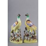 A PAIR OF MID-19TH CENTURY STAFFORDSHIRE BIRDS WITH MULTICOLOURED PLUMAGE, perched on a rocky