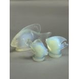 THREE SABINO OPALESCENT GLASS TROPICAL FISH, the largest on an oval base signed Sabino Paris, 6.