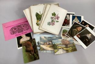 Quantity of chromolithographic colour plates after F.E. Hulme, Familiar Wild Flowers, in box with