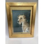 Pastel drawing of a wire haired fox terrier indistinctly signed and dated '35, in gilt frame with