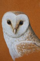 ARR W Geoff Rollinson (b.1946), Kestrel and Barn Owl, a pair, watercolour and gouache, signed and