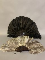 C1900, a large female ostrich feather fan with good mottled tortoiseshell sticks, overall height