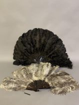 Two ostrich feather fans, the first black, with curly feathers and additional feather on top of