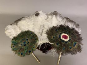 A good fluffy female ostrich feather fan, mounted on tortoiseshell, large areas of white feathers
