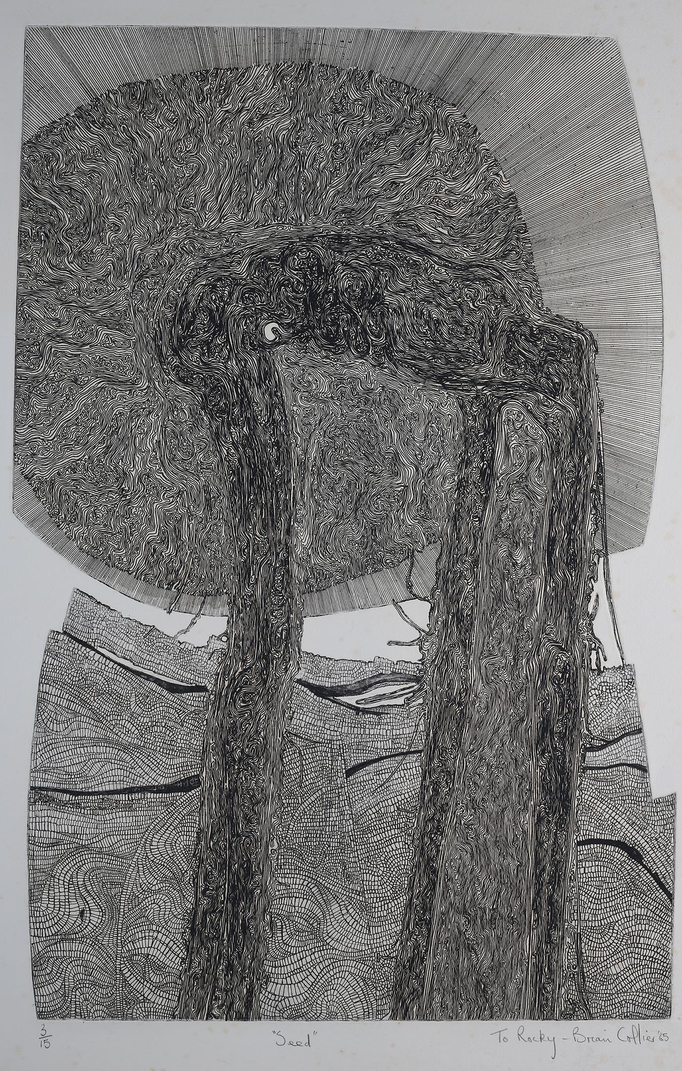 ARR By and after Brian Collier, 'Seed', black and white etching, 3/15, titled, signed and dated 1965