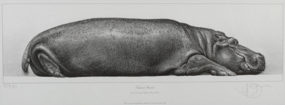 ARR By and After Gary Hodges (b.1954), Tropical Slumber, study of a hippo, lithograph no 579/850,