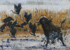 ARR Elva Palombo (20th century), Water buffalo and waterfowl, mixed media, signed and dated (19)96