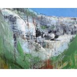 ARR Katherine Holmes (b.1962), Malham Tarn, oil on canvas, signed to lower right, 40cm x 50cm