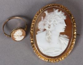 A VICTORIAN SHELL CAMEO BROOCH in 9ct rose gold, the oval portrait of Diana collet set, raised