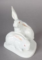 A HEREND PORCELAIN GROUP OF TWO WHITE RABBITS hand painted to the eyes and ears, 14cm high,