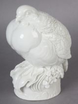 A MEISSEN BLANC DE CHINE PORCELAIN FIGURE OF A PARTRIDGE DESIGNED BY WILLI MÜNCH-KHE, c.1924-34,