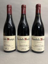 DOMAINE GEORGES & CHRISTOPHE ROUMIER CHAMBOLLE MUSIGNY 2005, 3 Bottles