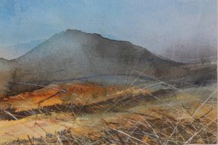 ARR KATHERINE HOLMES (b1962), In The Long Grass, Looking Towards Flasby Fell, watercolour and ink on