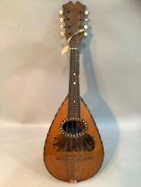 An early 20th century Italian mandolin in rosewood and boxwood with mother of pearl and tortoise