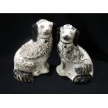 A Pair Of Staffordshire Pottery Black & White Sponge Decorated Seated Dogs, 10" High