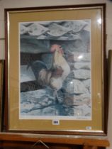 A Limited Edition Coloured Print Of A Cockerel By Andrew Hutchinson, Signed & No In Pencil