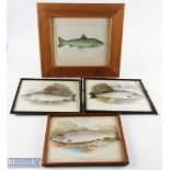 Fish prints by A F Lydon: Salmon male, Grisle or young Salmon, Galway Sea trout, with an unnamed