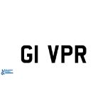 Private UK Vehicle Registration Plate - G1 VPR