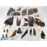 A collection of unused complete skins and selected wing feathers - partridge, starling, Amhurst