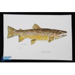 Mark Mortensen Watercolour of a Brown Trout, a good looking small painting on card - size 20cm x
