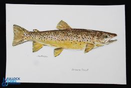 Mark Mortensen Watercolour of a Brown Trout, a good looking small painting on card - size 20cm x