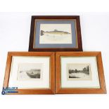 3x period Fishing Engraving Prints, all in good wooden frames, to include a Bull Trout presented