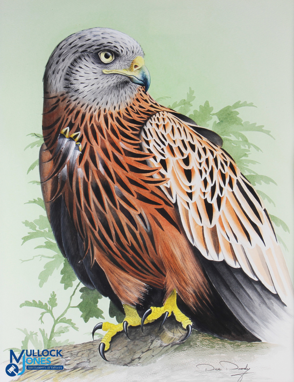 Diarmid 'Dee' Doody Watercolour Painting of a Red Kite standing on a branch with leaves and green - Image 2 of 2