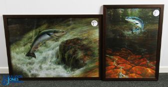 2x Chris Sharp Leaping Salmon Fishing Prints, sized #42cm x 61cm, well printed on embossed card,