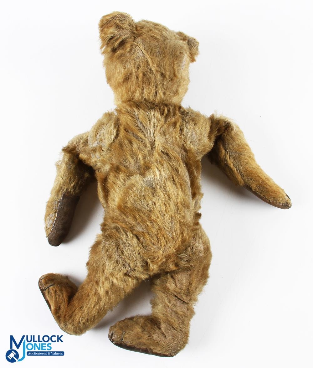 1906-1920 Early 13 Steiff Golden Brown Mohair Bear, with button eyes, voice box inoperable, the body - Image 2 of 3