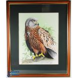 Diarmid 'Dee' Doody Watercolour Painting of a Red Kite standing on a branch with leaves and green