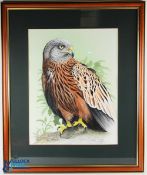Diarmid 'Dee' Doody Watercolour Painting of a Red Kite standing on a branch with leaves and green