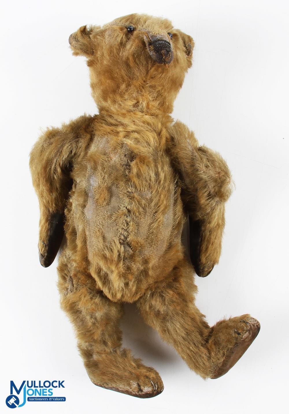 1906-1920 Early 13 Steiff Golden Brown Mohair Bear, with button eyes, voice box inoperable, the body