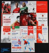 Wales etc Age Group & Women's Rugby Programmes (17): Schools 19 Group: v France (away) 1995; v
