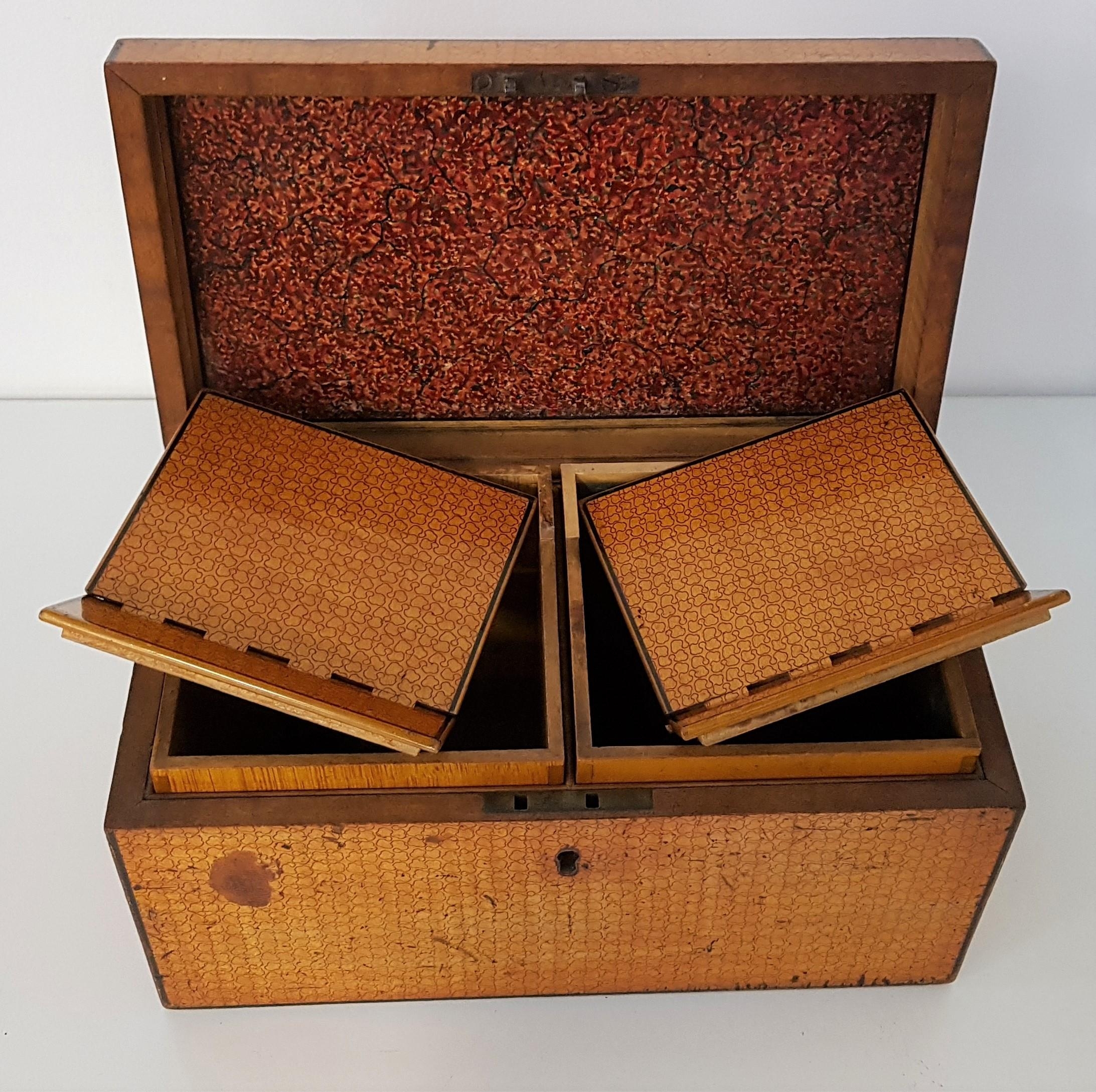 GEORGIAN SATINWOOD TEA CADDY of rectangular form with a lift up lid revealling two hinged lidded