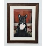 SCOTT WALKER French bulldog, watercolour and ink, signed and dated '02, 54.5cm x 36.5cm
