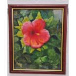 NAT CORSTORPHINE Hibiscus, acrylic on board, signed, 48.5cm x 38.5cm