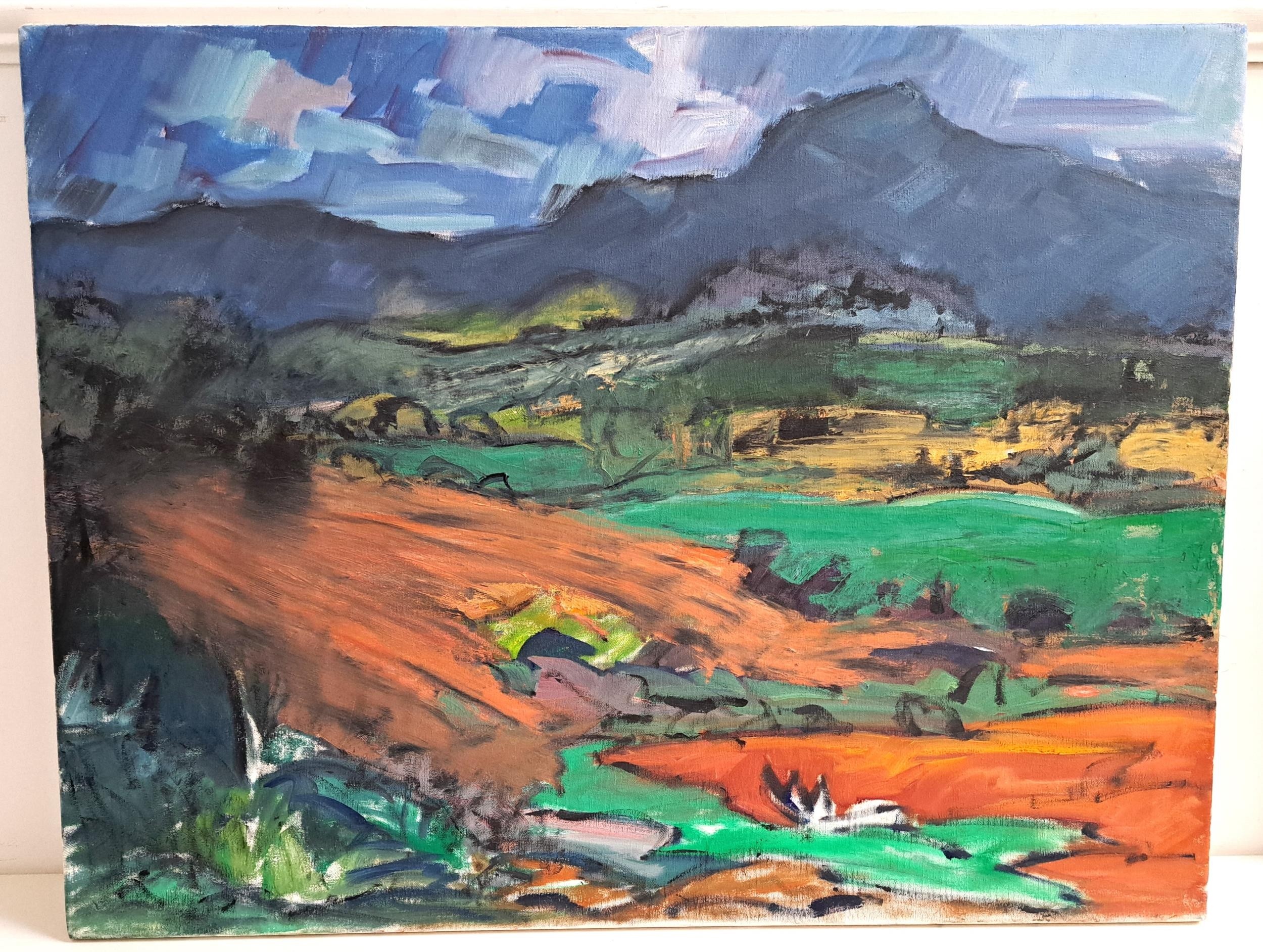 CLIVE VINCENT JACHNIK Hills beyond, acrylic on canvas, 66cm x 86.5cm