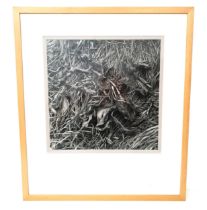 CLIVE VINCENT JACHNIK Leaf study, Poland 1989, photographic print, signed label to verso, 37cm x