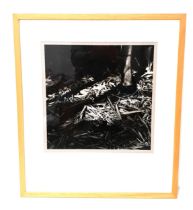 CLIVE VINCENT JACHNIK Bamboo grove, Dandong, China 1988, photographic print, signed label to
