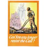 Lissadel House Association, 1914-18 Great War, recruiting poster issued in Ireland, "Can you any