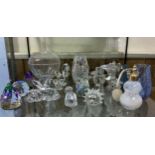 Eight various Swarovski crystal animal figures, including a hedgehog, cat (af), turtle, butterfly,