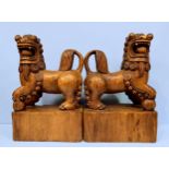 A pair of Chinese carved hardwood figures of Temple Foo Dogs, each carved modelled passant with