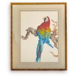 David Ord Kerr (British b.1951-), 'Scarlet Macaw,' watercolour and gouache on paper, The Tryon