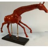 An artist’s giraffe lay model or sculpture, red stained wood, on black wooden base with fully