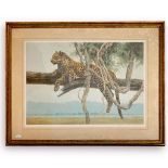 Kim Donaldson (South African b.1951), 'African Leopard, limited edition print, 56/850, m/g/f,