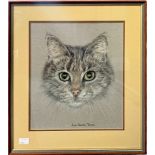 A study of a cat’s head by June Nelson Tomson, coloured pencils, and chalk on paper, approximately