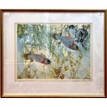 An abstract colour etching of two Koi carp, indistinctly signed and titled, mounted, glazed and