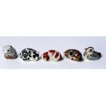 Five Royal Crown Derby Porcelain paperweights, Poppy Mouse, Duckling, Catnip Kitten, Misty and Puppy